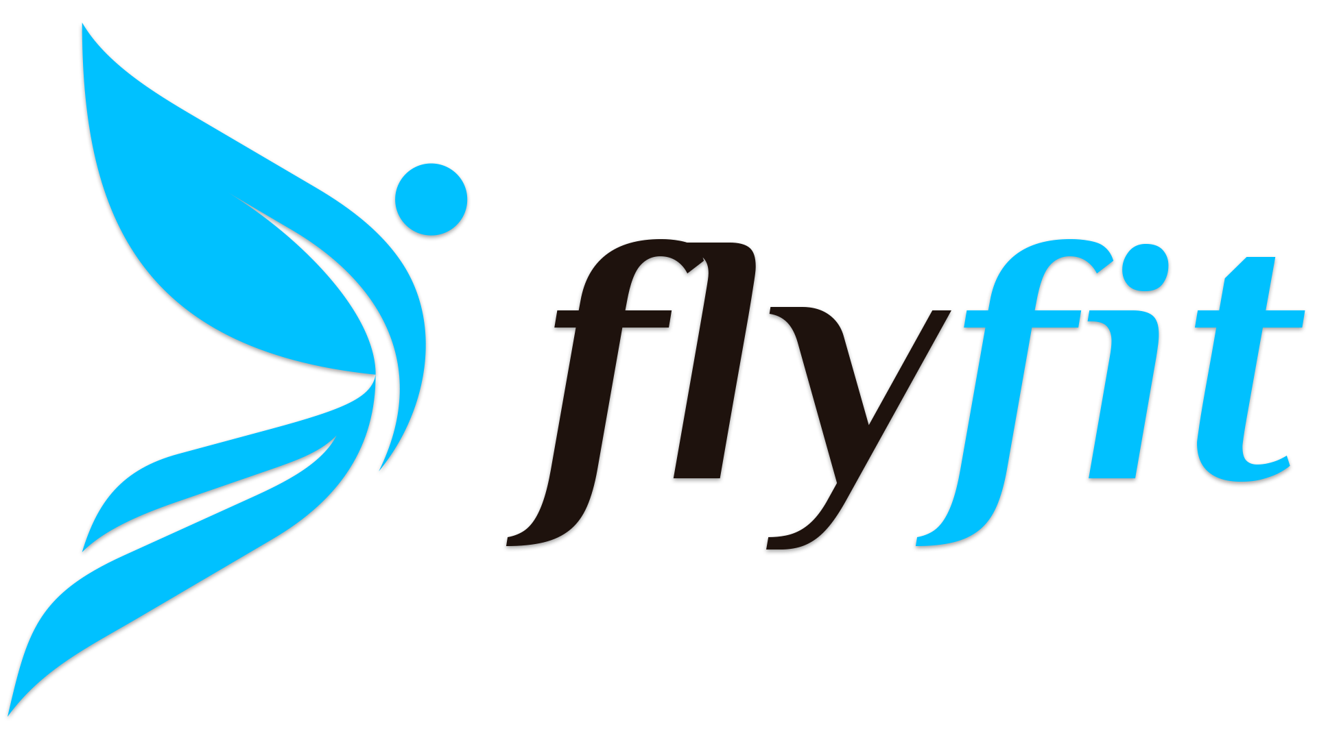 Fly Fit Studio