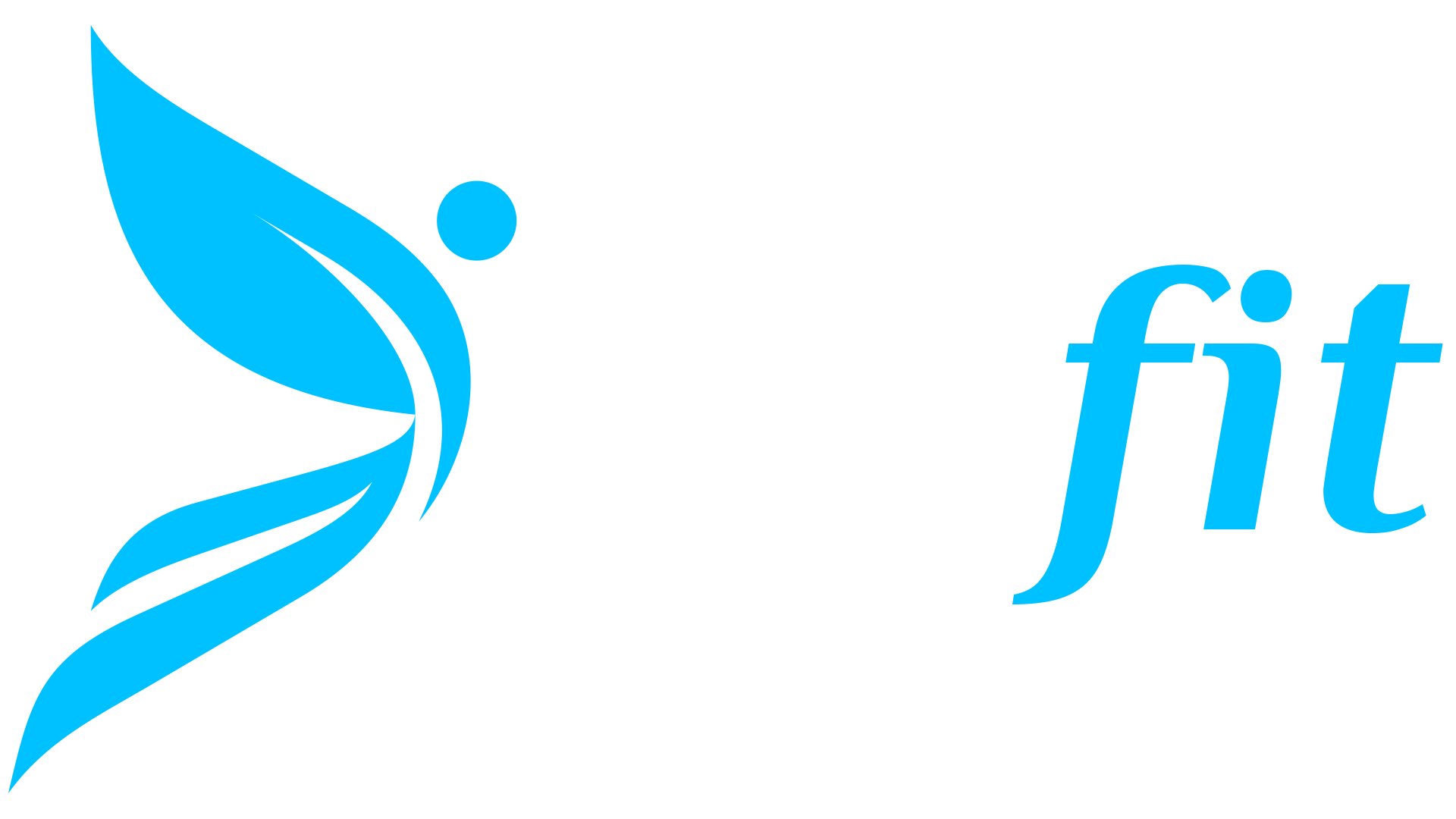 Fly Fit Studio